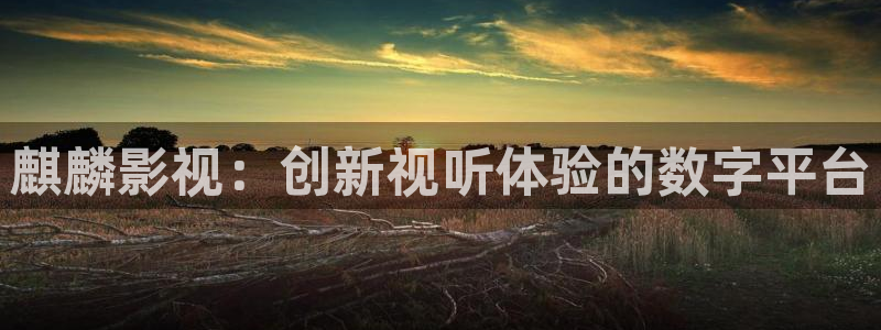 七七影视大全在线观看电视剧免费