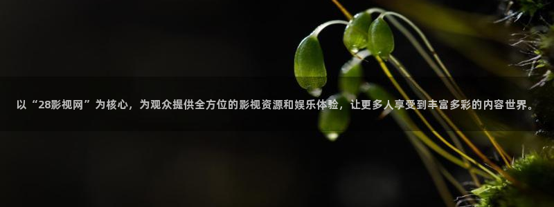 七七影视网