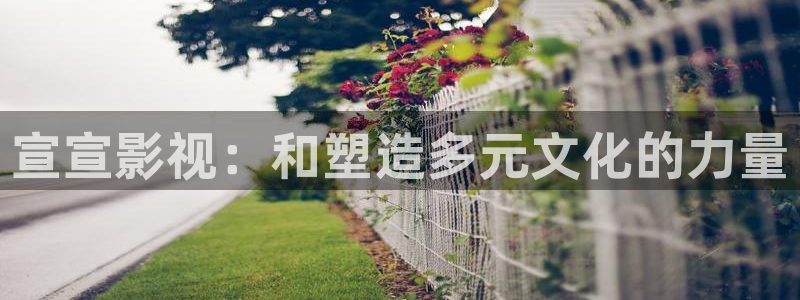 七七影视大全官网：宣宣影视：和塑造多元文化的力量