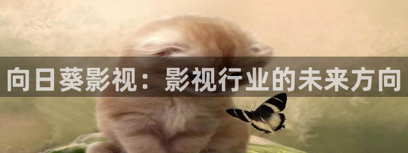 七七影院社区一：向日葵影视：影视行业的未来方向