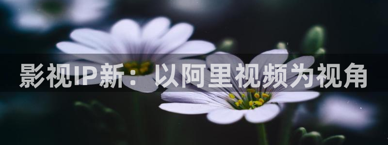 七七影视全集免费观看
