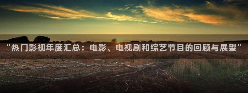 七七影视大全：“热门影视年度汇总：电影、电视剧和综艺节目的回顾与展望”