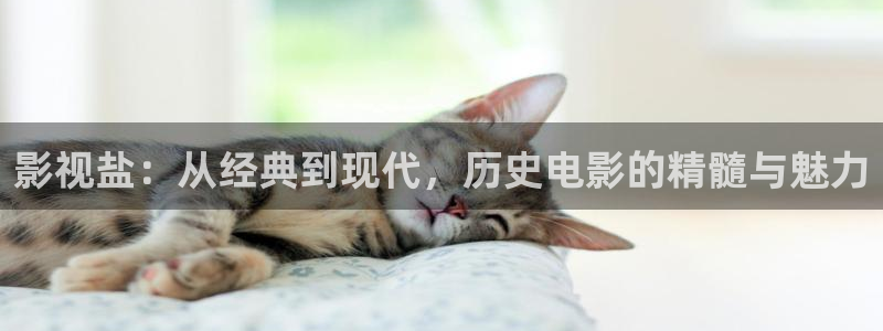 米奇七七七影院：影视盐：从经典到现代，历史电影的精髓与魅力